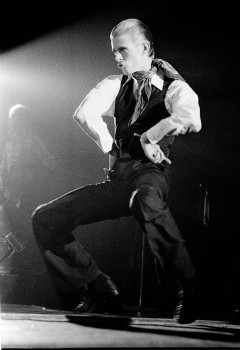 Thin White Duke