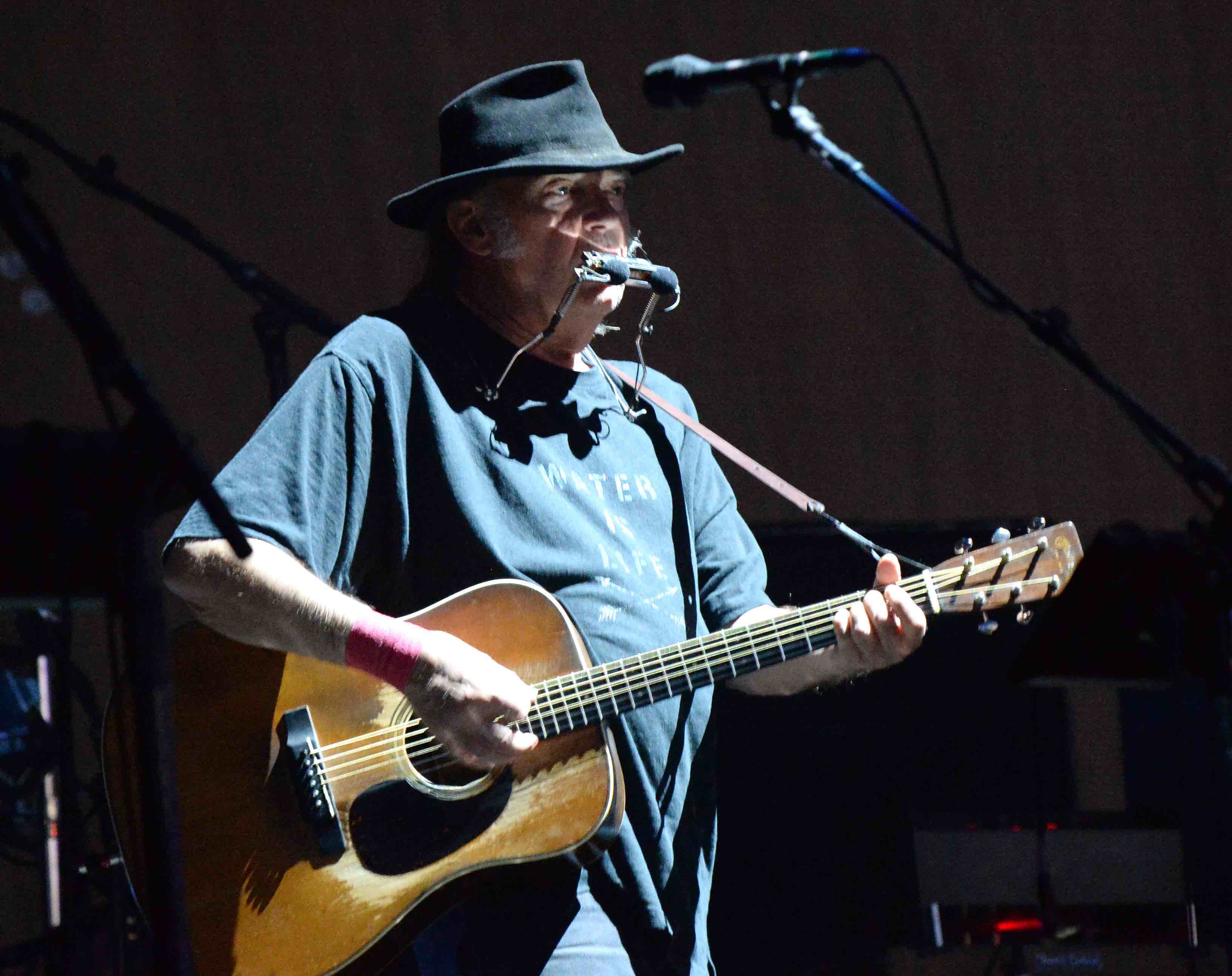 Neil Young beim "Desert Trip" Fotos und Setlist