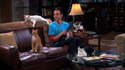 Sheldon Cooper ist der Ober-Nerd in „Big Bang Theory“