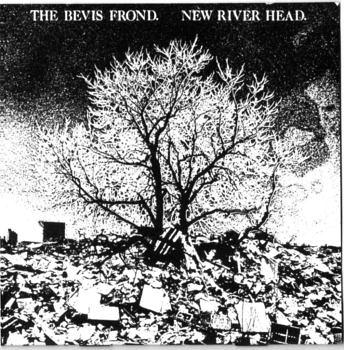 the-bevis-frond-new-river-head