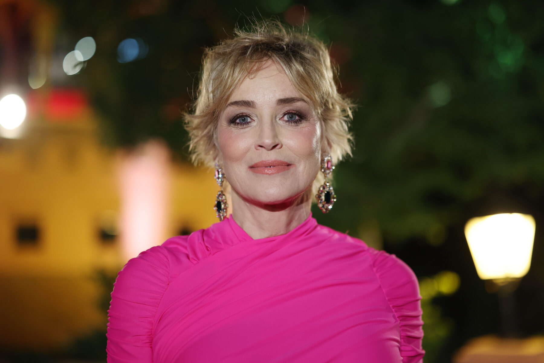 Sharon Stone: Robert Evans forderte sie auf, mit Co-Star ins Bett zu ...