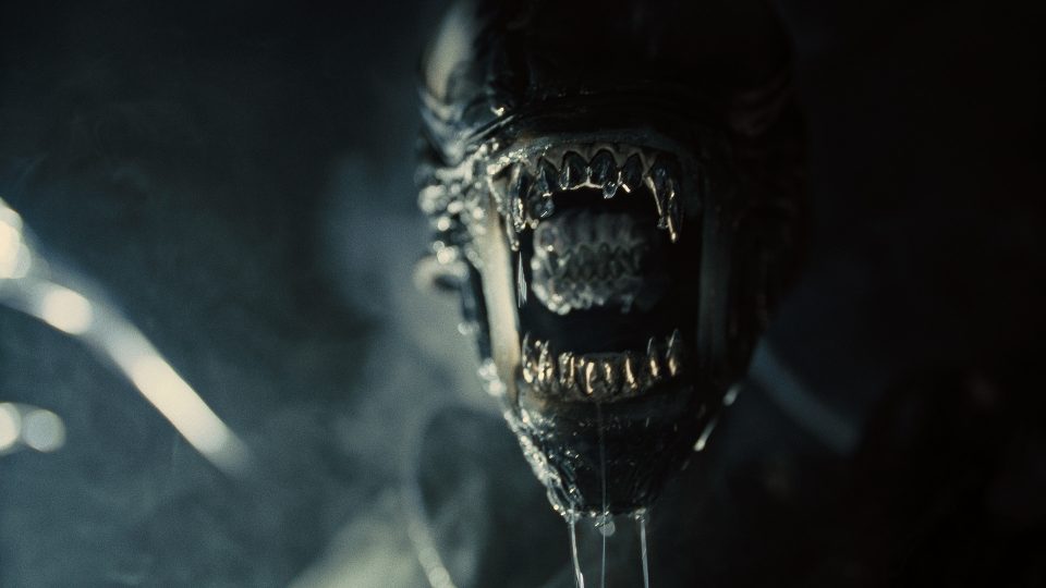 Mehr Horror: Szene aus „Alien: Romulus“