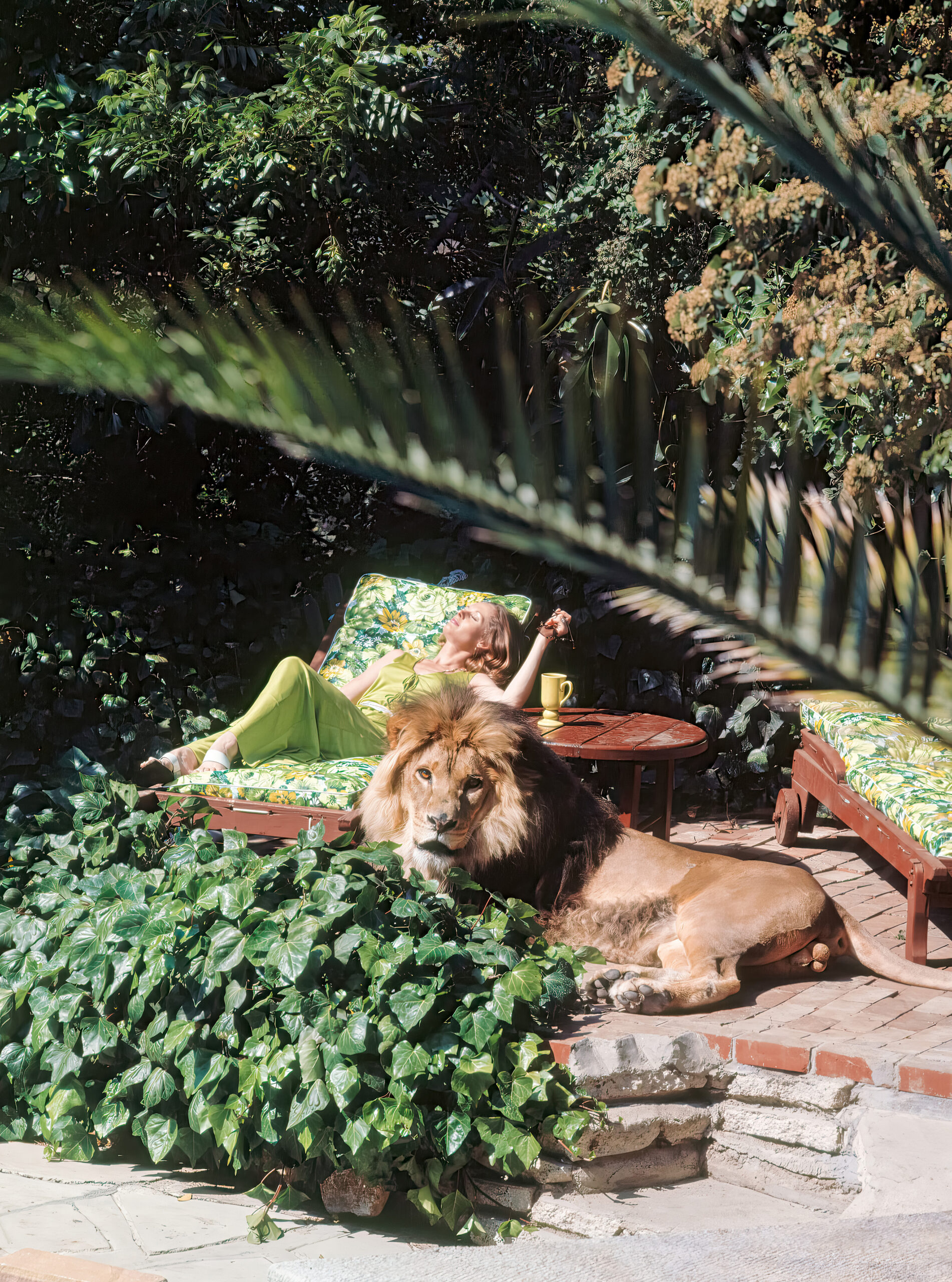 Tippi Hedren und ihr Hauslöwe Neil nehmen ein Sonnenbad im Garten ihres Hauses in Sherman Oaks, Kalifornien, Mai 1971.