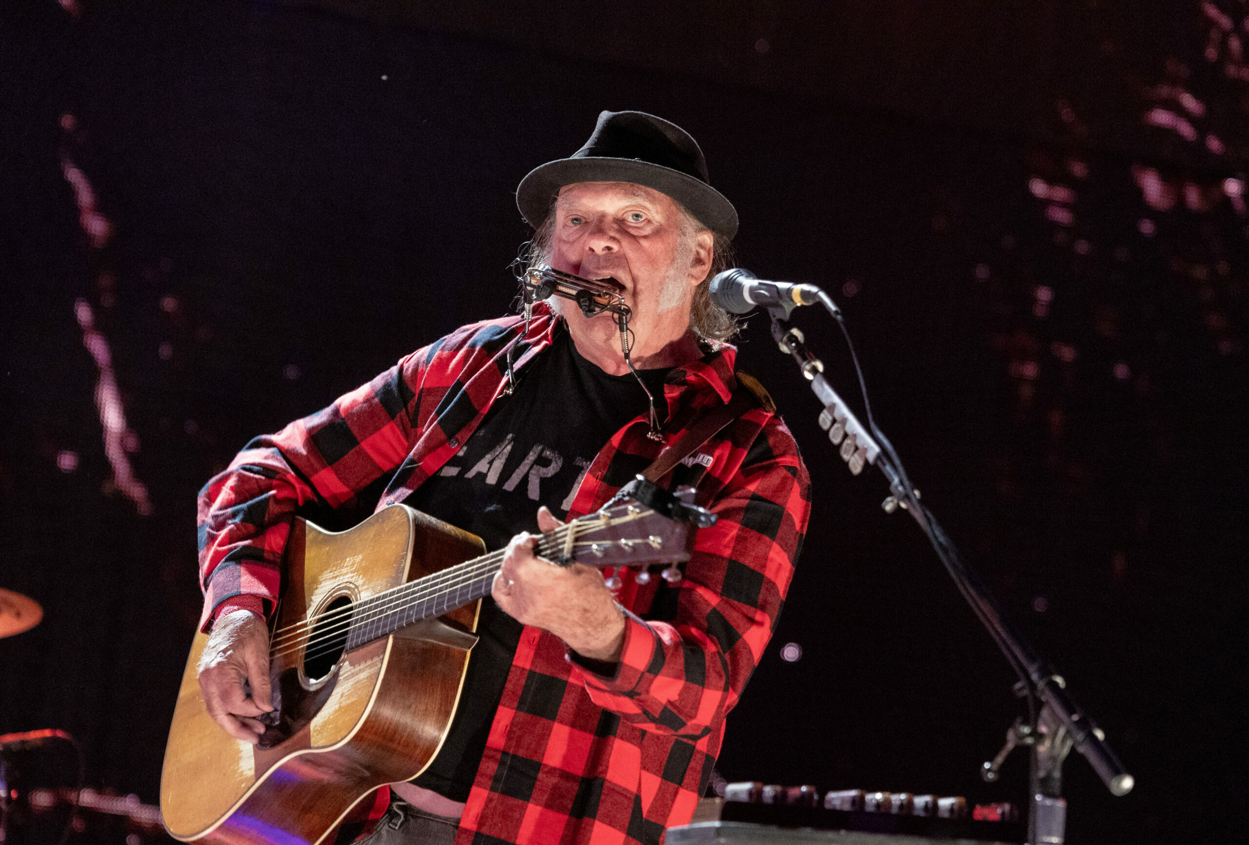 Neil Young live 2024