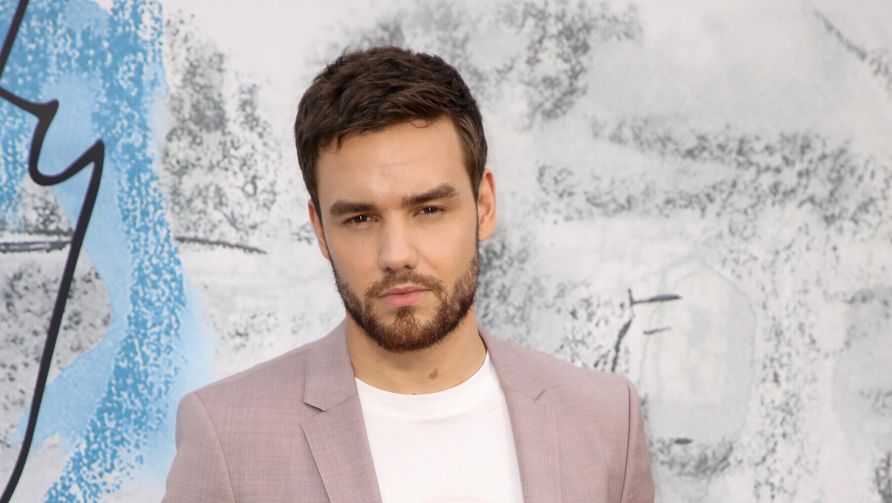 Liam Payne besucht die Summer Party 2019 Presented By Serpentine Galleries And Chanel in der Serpentine Gallery am 25. Juni 2019 in London, England.